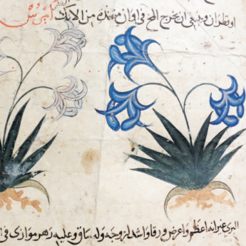 Image of the Syrian herbal discussed in the lecture.